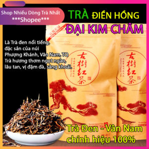 điền Hồng đại Kim Châm