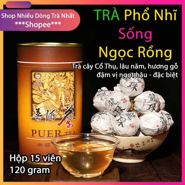 Sống Ngọc Rồng 2