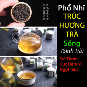 Trúc Sống 2